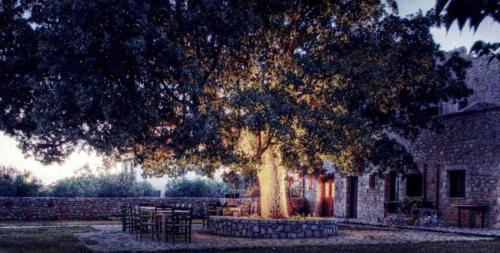 Vlyhada Guesthouse Pírgos Dhiroú 外观 照片